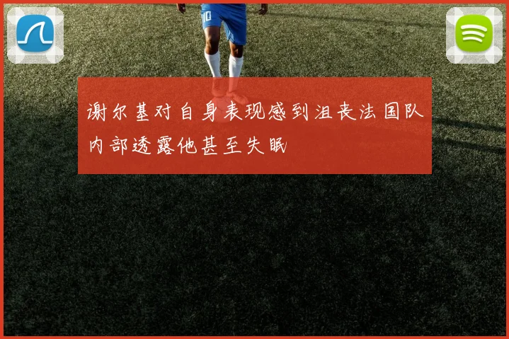 谢尔基对自身表现感到沮丧法国队内部透露他甚至失眠